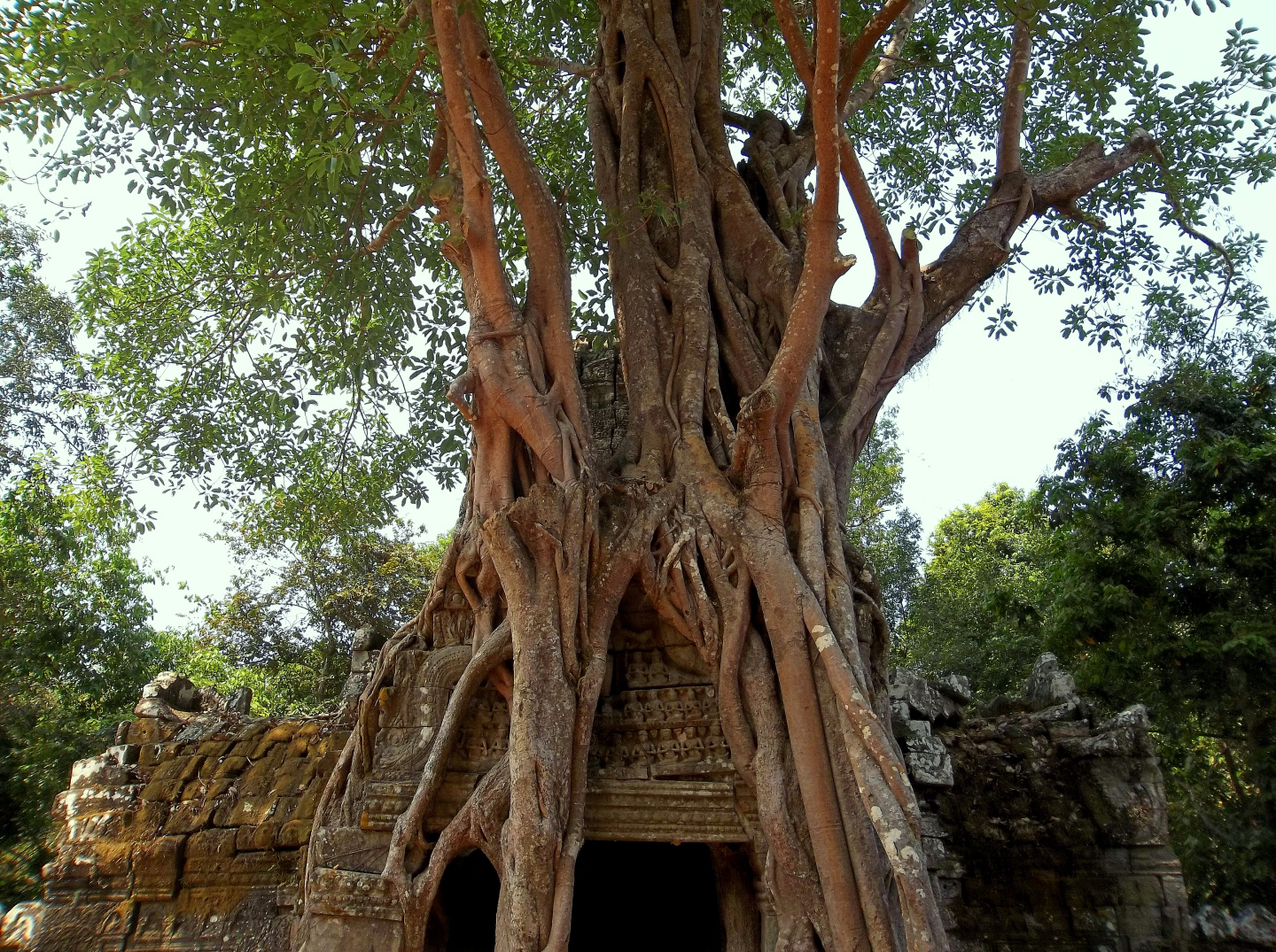Ta Som Temple Complex - Angkor Wat, Cambodia