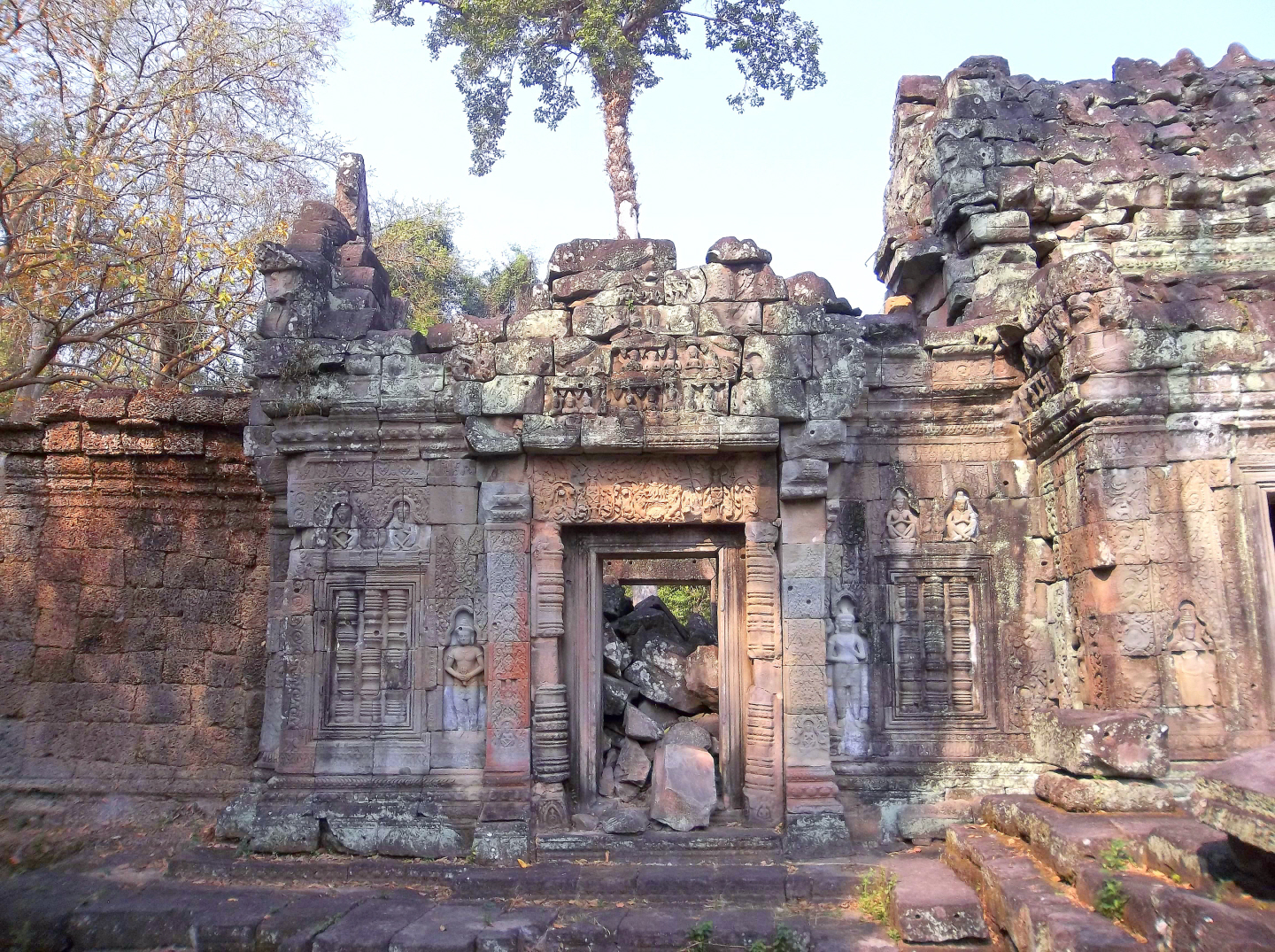 Ta Prohm Temple Complex, Angkor Wat - Cambodia