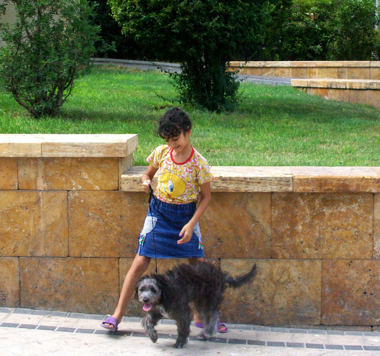 Young Azerbaijani Friend(s) in One Of The City Parks - Baku City, Azerbaijan