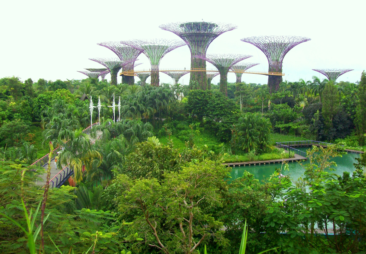 "Gardens by the Bay" -  Aboreal Walkway & Towers for Vines -Singapore